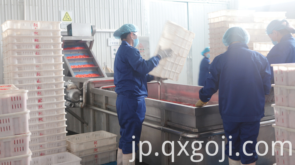 GMP Factory Supply Goji Juice
